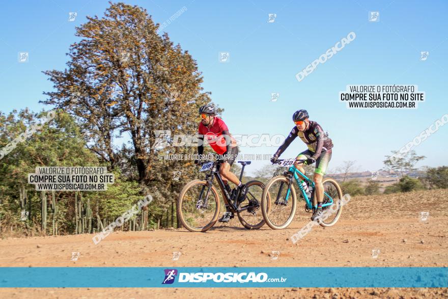 Desafio Norte PR MTB - Etapa Sarandi