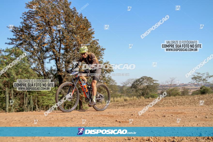 Desafio Norte PR MTB - Etapa Sarandi