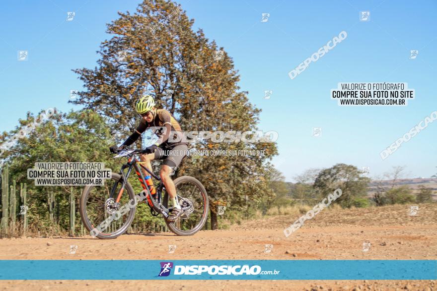 Desafio Norte PR MTB - Etapa Sarandi