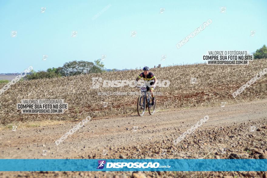 Desafio Norte PR MTB - Etapa Sarandi