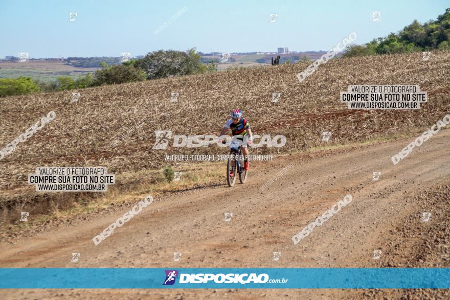 Desafio Norte PR MTB - Etapa Sarandi