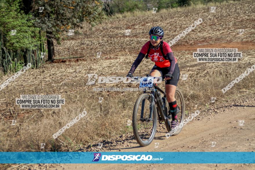 Desafio Norte PR MTB - Etapa Sarandi