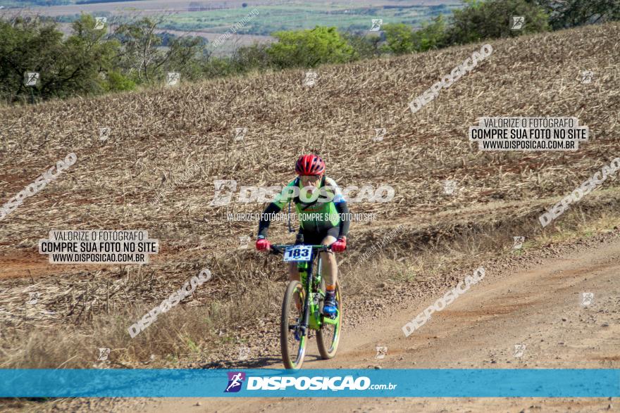 Desafio Norte PR MTB - Etapa Sarandi