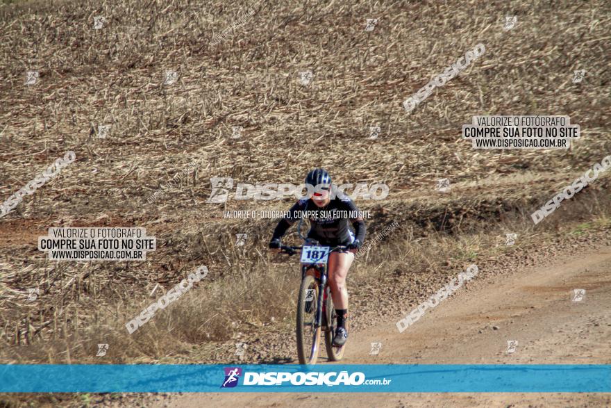 Desafio Norte PR MTB - Etapa Sarandi