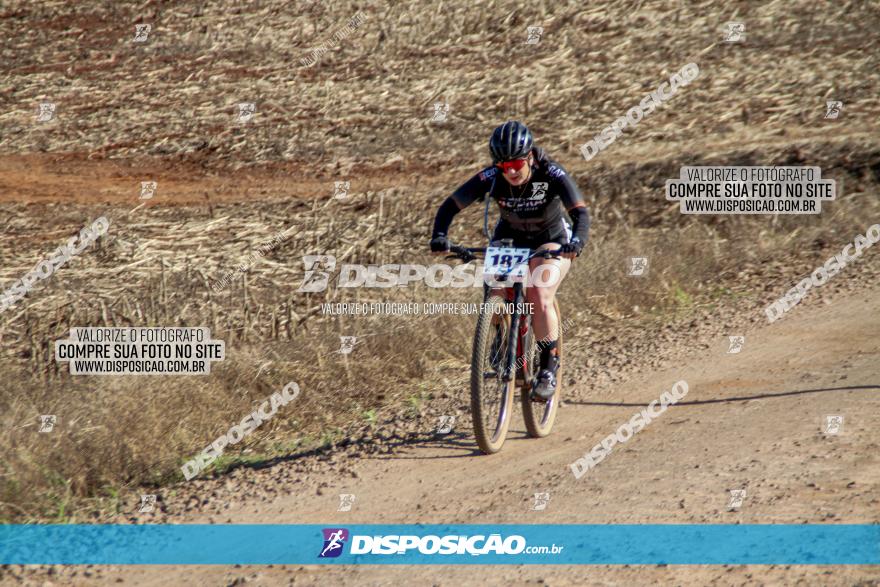 Desafio Norte PR MTB - Etapa Sarandi