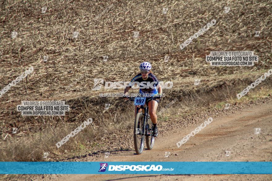 Desafio Norte PR MTB - Etapa Sarandi