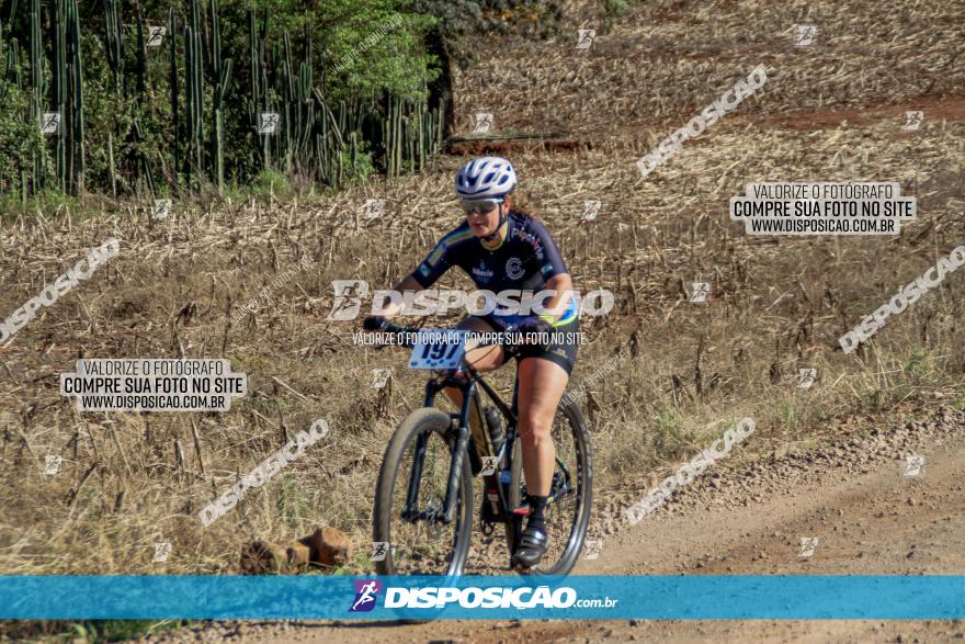 Desafio Norte PR MTB - Etapa Sarandi