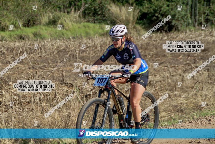 Desafio Norte PR MTB - Etapa Sarandi