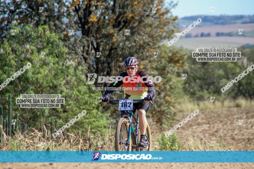 Desafio Norte PR MTB - Etapa Sarandi