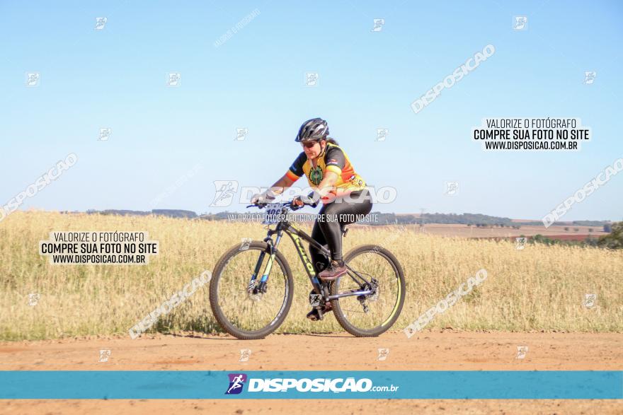 Desafio Norte PR MTB - Etapa Sarandi