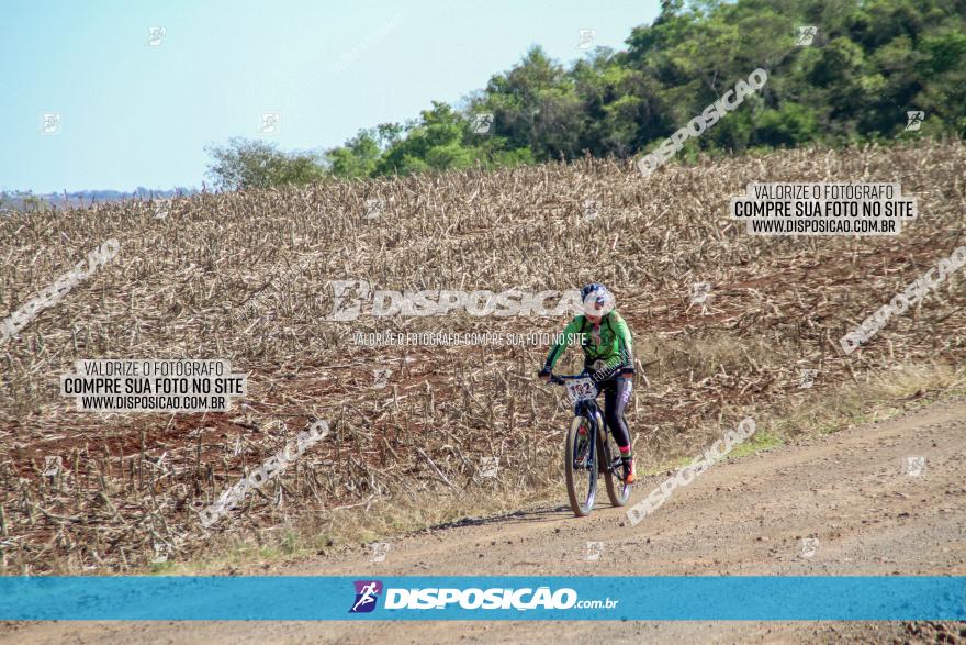 Desafio Norte PR MTB - Etapa Sarandi