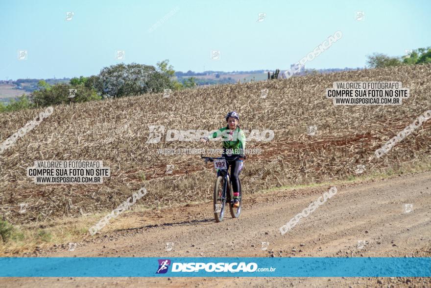 Desafio Norte PR MTB - Etapa Sarandi