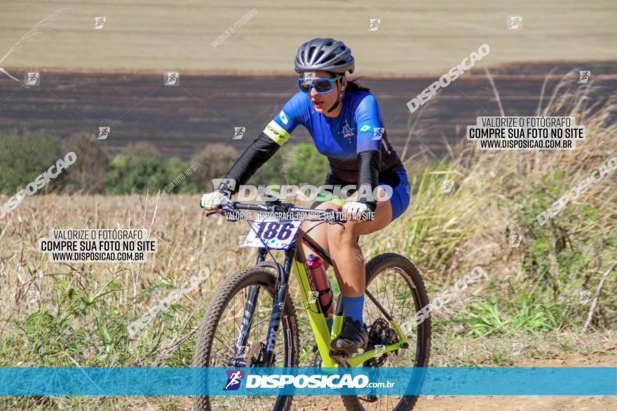 Desafio Norte PR MTB - Etapa Sarandi