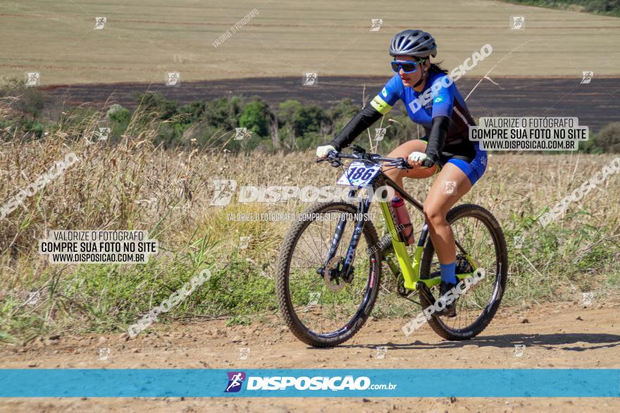 Desafio Norte PR MTB - Etapa Sarandi