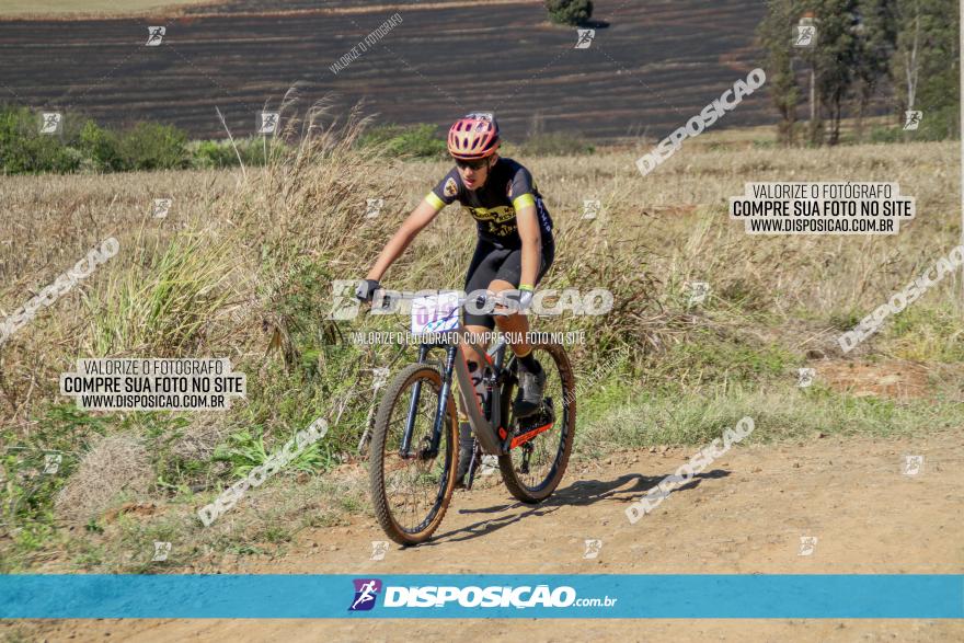 Desafio Norte PR MTB - Etapa Sarandi