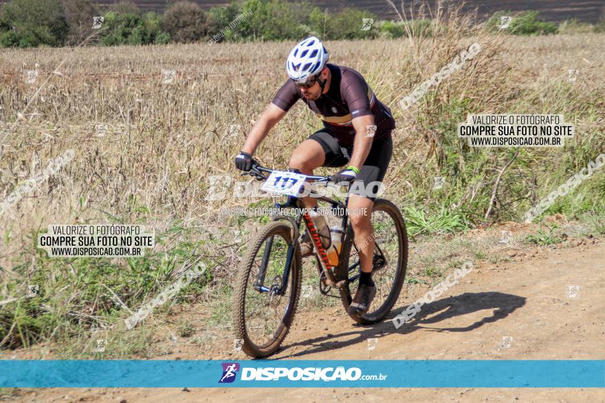 Desafio Norte PR MTB - Etapa Sarandi