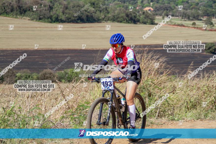 Desafio Norte PR MTB - Etapa Sarandi