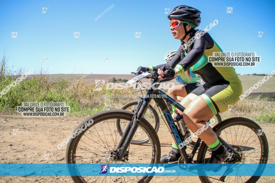 Desafio Norte PR MTB - Etapa Sarandi