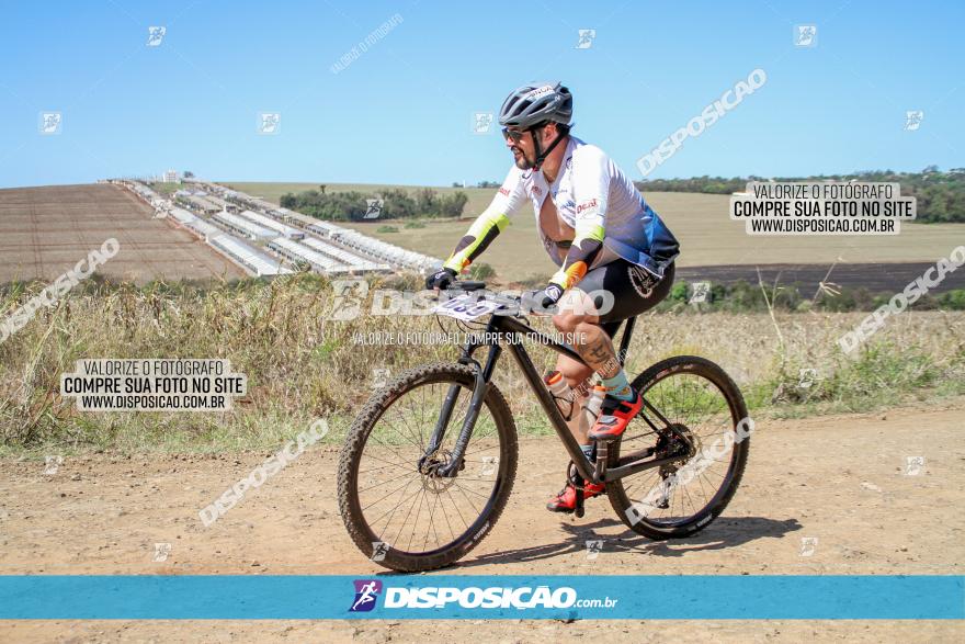 Desafio Norte PR MTB - Etapa Sarandi