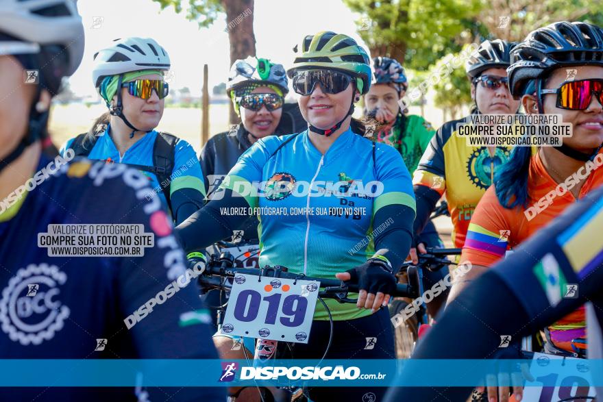 Desafio Norte PR MTB - Etapa Sarandi