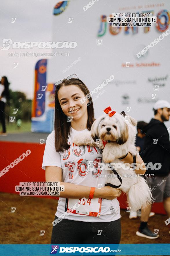 Circuito de Corrida Juntos - Etapa Londrina