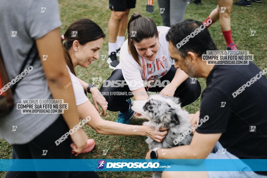 Circuito de Corrida Juntos - Etapa Londrina