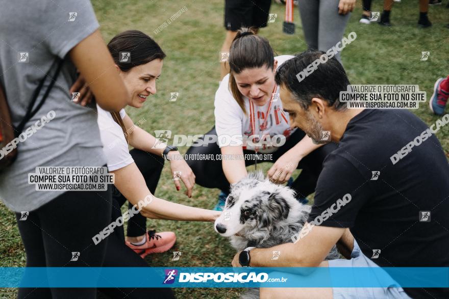 Circuito de Corrida Juntos - Etapa Londrina