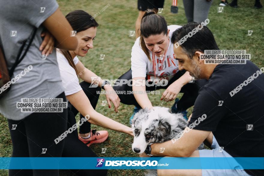 Circuito de Corrida Juntos - Etapa Londrina