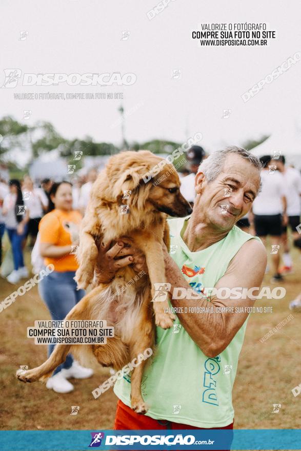 Circuito de Corrida Juntos - Etapa Londrina