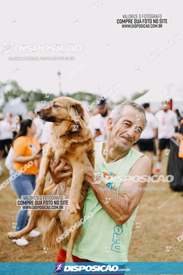 Circuito de Corrida Juntos - Etapa Londrina