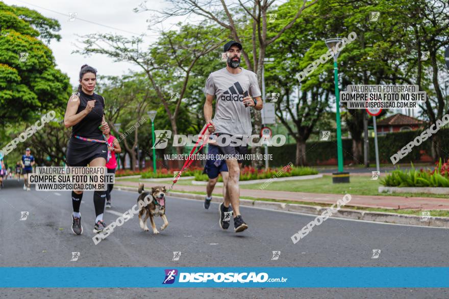 Corrida Solidaria Rede Feminina de Combate ao Cancer