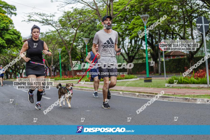 Corrida Solidaria Rede Feminina de Combate ao Cancer