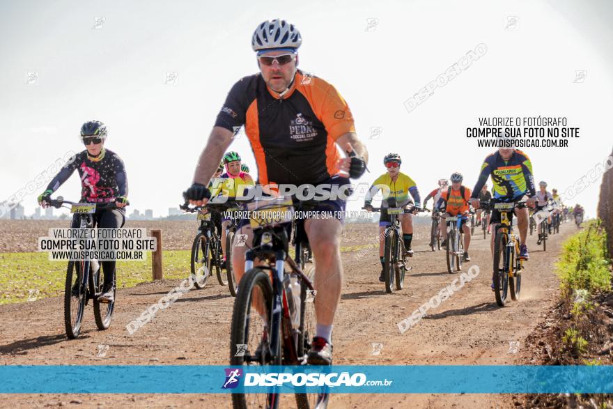 1º Desafio Amigos da APAE - MTB