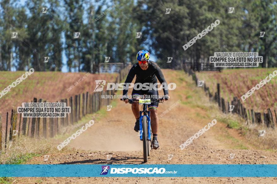 Circuito Regional de MTB - 5ª Etapa - Ângulo