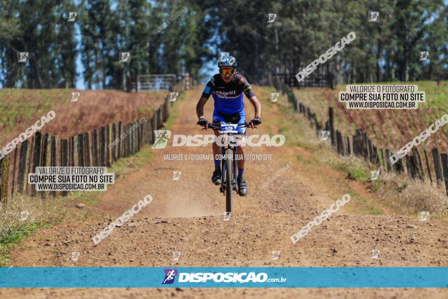 Circuito Regional de MTB - 5ª Etapa - Ângulo