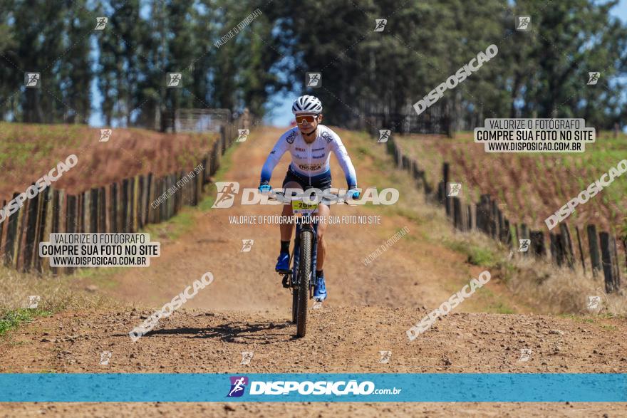 Circuito Regional de MTB - 5ª Etapa - Ângulo