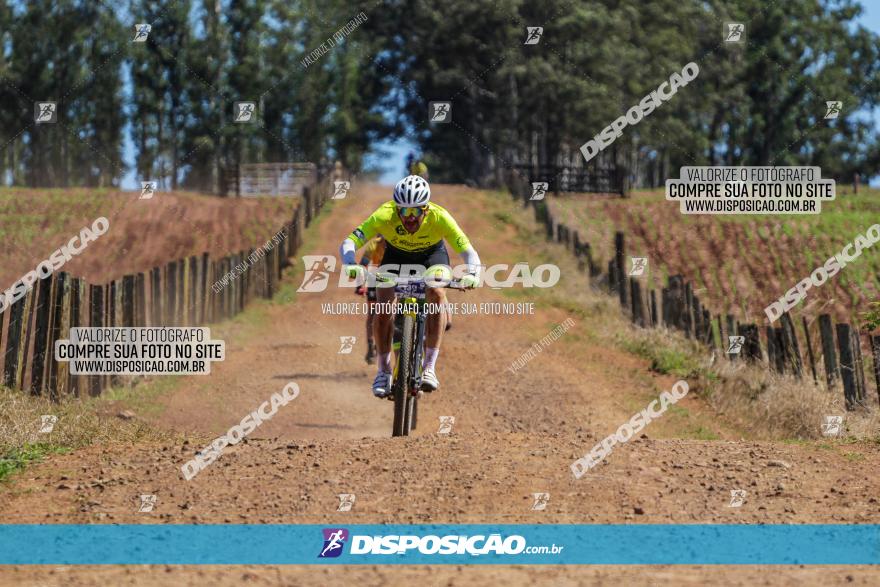 Circuito Regional de MTB - 5ª Etapa - Ângulo