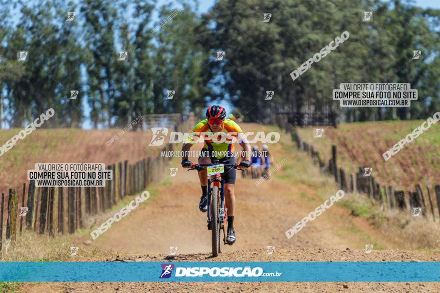 Circuito Regional de MTB - 5ª Etapa - Ângulo