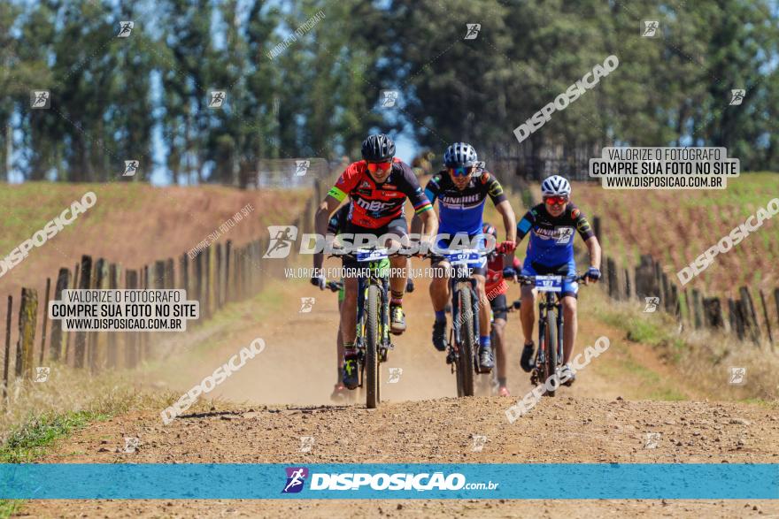 Circuito Regional de MTB - 5ª Etapa - Ângulo