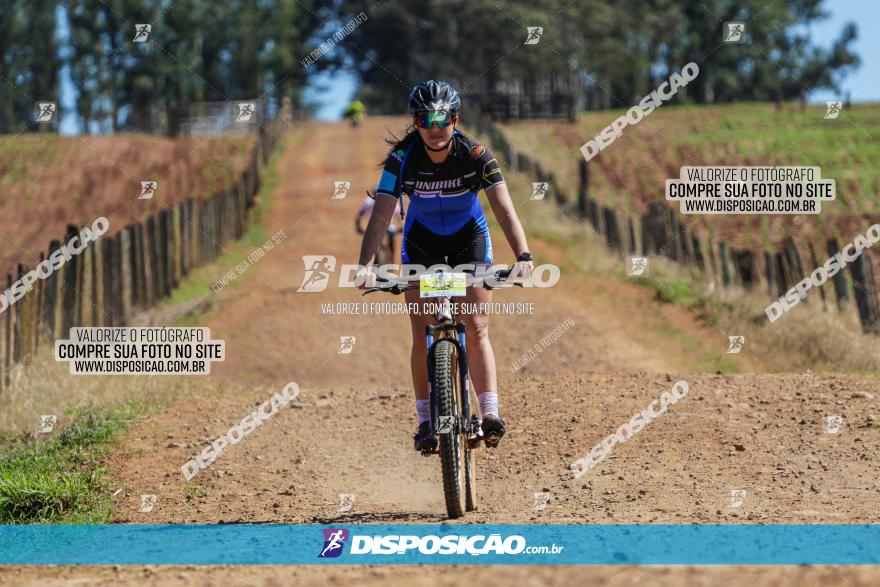 Circuito Regional de MTB - 5ª Etapa - Ângulo