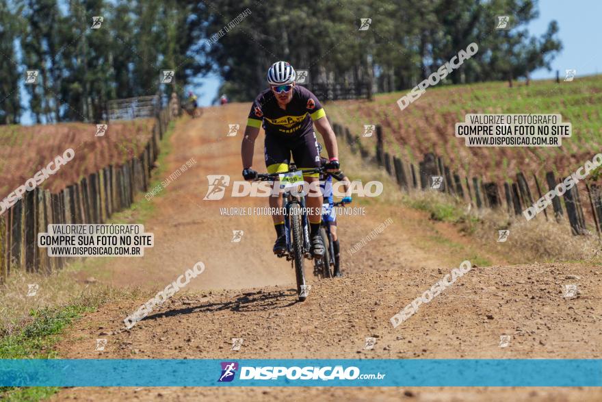 Circuito Regional de MTB - 5ª Etapa - Ângulo