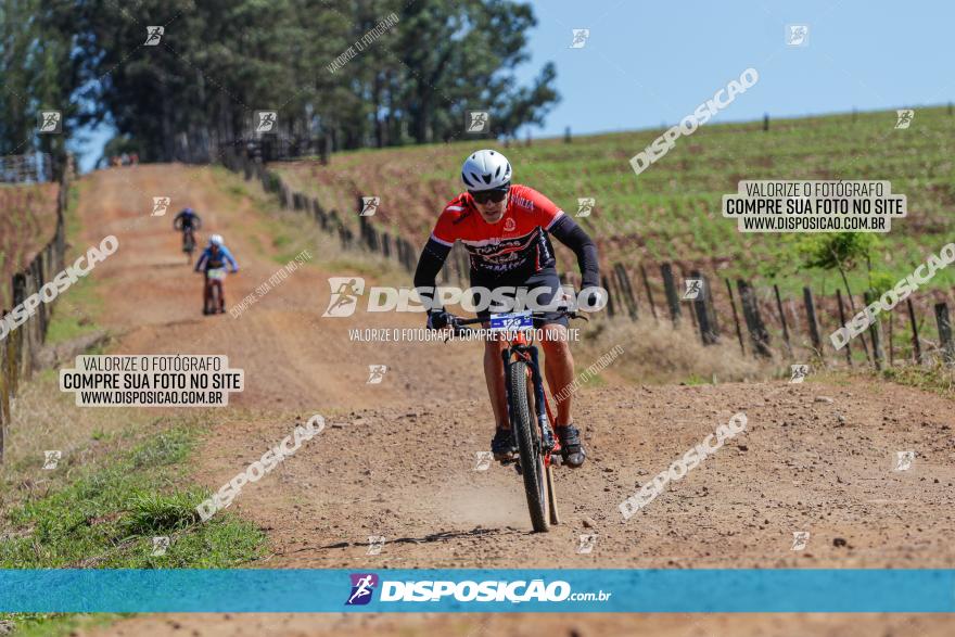 Circuito Regional de MTB - 5ª Etapa - Ângulo