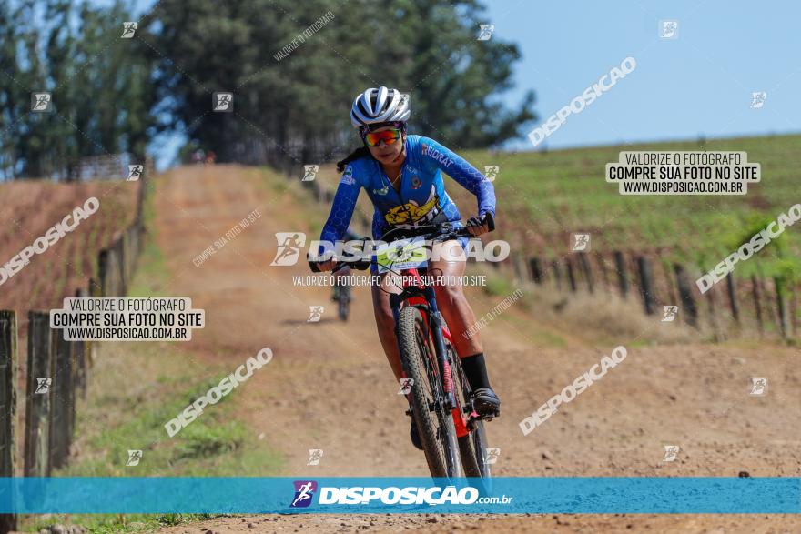 Circuito Regional de MTB - 5ª Etapa - Ângulo