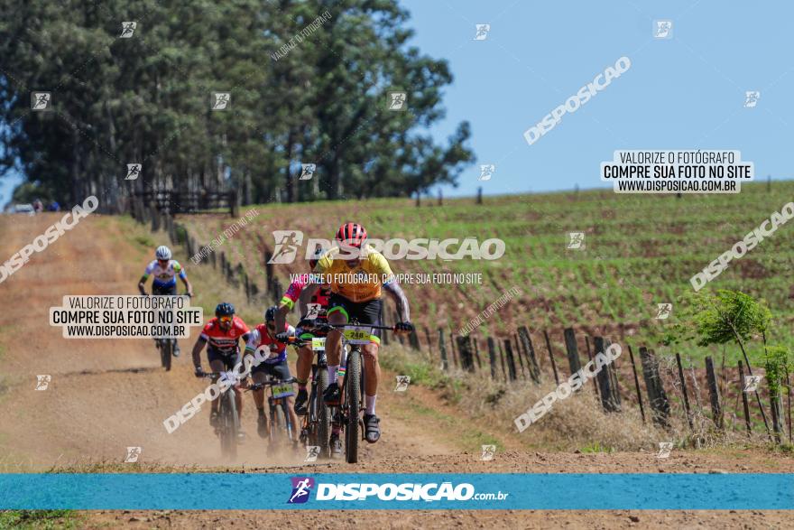 Circuito Regional de MTB - 5ª Etapa - Ângulo