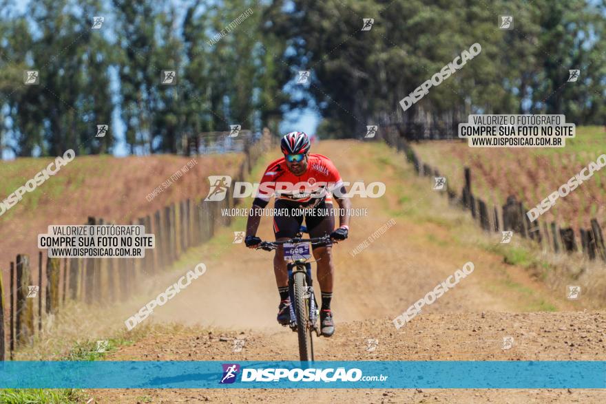 Circuito Regional de MTB - 5ª Etapa - Ângulo