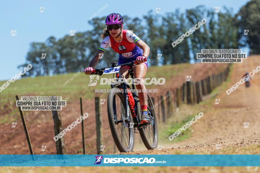 Circuito Regional de MTB - 5ª Etapa - Ângulo