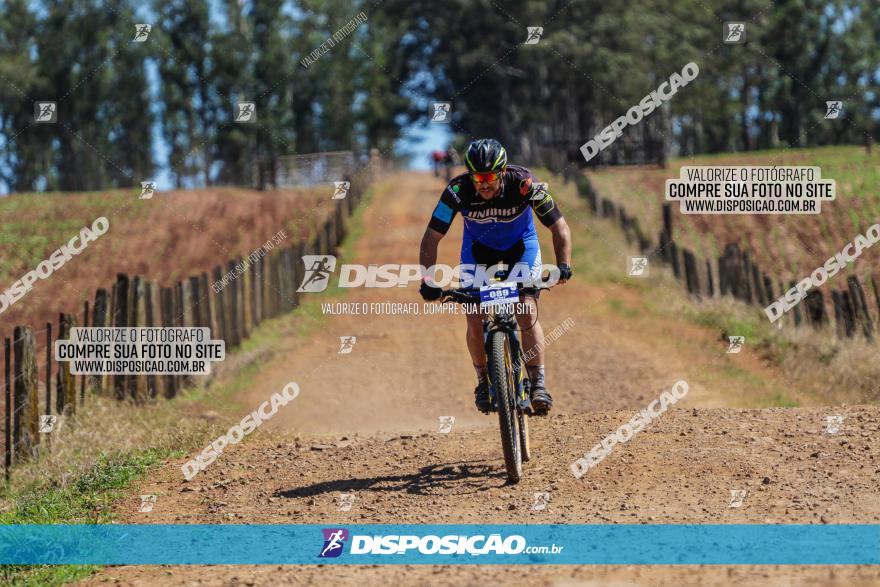 Circuito Regional de MTB - 5ª Etapa - Ângulo