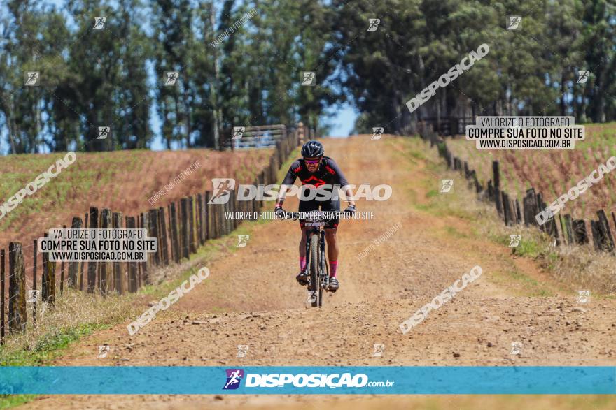 Circuito Regional de MTB - 5ª Etapa - Ângulo