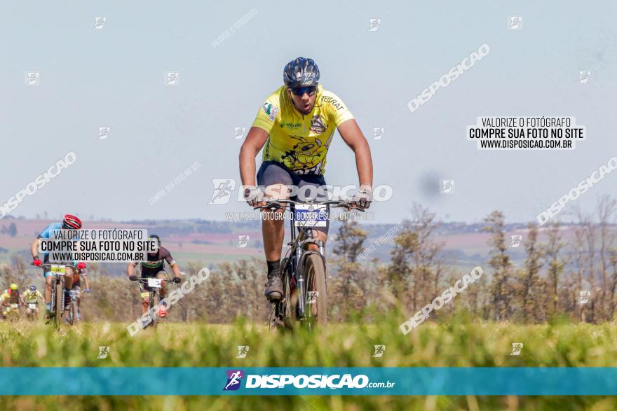 Circuito Regional de MTB - 5ª Etapa - Ângulo