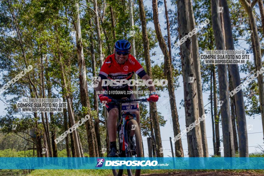 Circuito Regional de MTB - 5ª Etapa - Ângulo